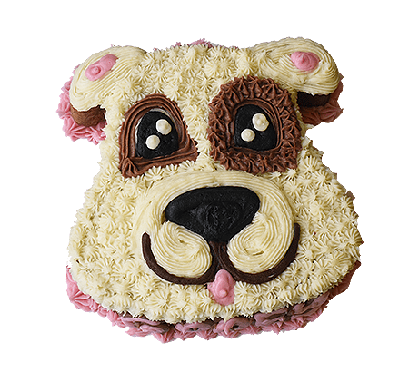 8 Homemade Dog Birthday Cake Recipes To Spoil Your Pup | It's A Vizsla